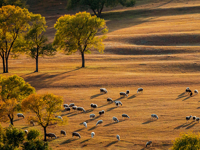 1742174978137520.jpg 未標題-2.jpg