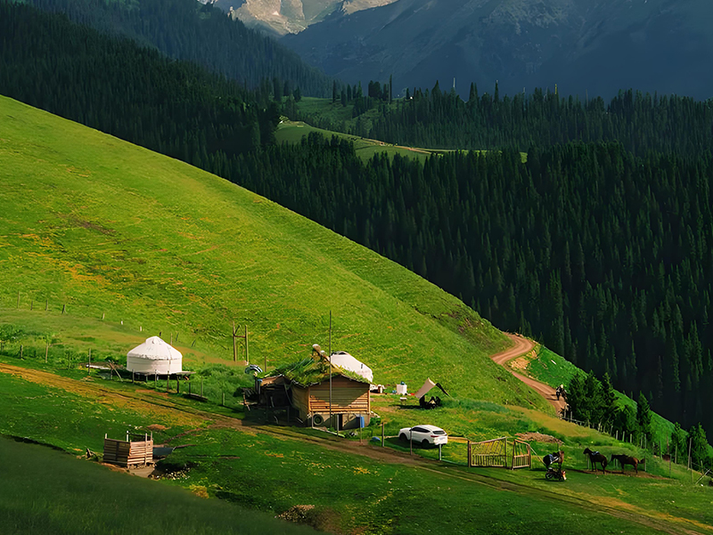 1742785568144371.jpg 未標題-1111.jpg